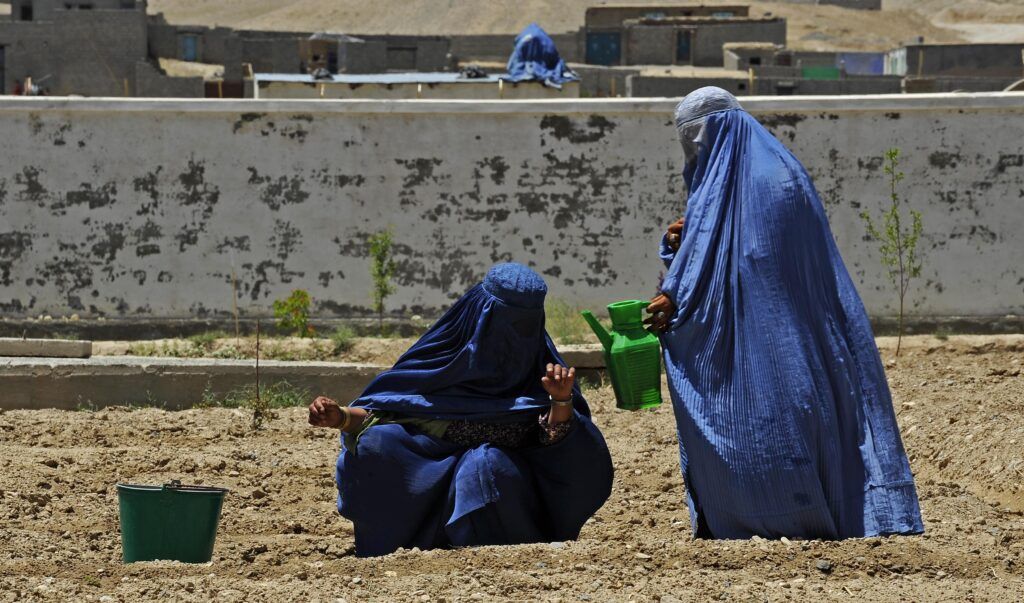 Thriving agriculture in Qalat
